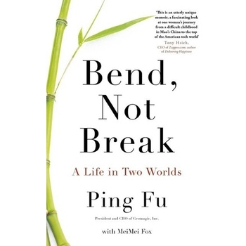 Bend, Not Break - Ping Fu