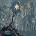 Withering Surface Exit Plan 1 CD
