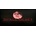 Space Beret