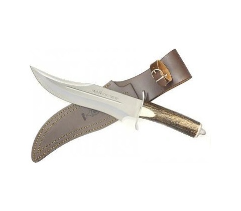 Muela Lobo 23A