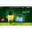LEGO® Constructor LEGO® Botanicals Happy Plants 10349, 217 pcs