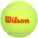 Wilson Starter 1 ks