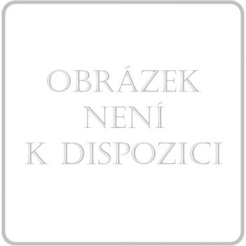 BD Discardit 2dílná Inj. stříkačka 2 ml 100 ks