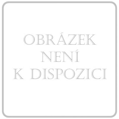 BD Discardit 2dílná Inj. stříkačka 2 ml 100 ks