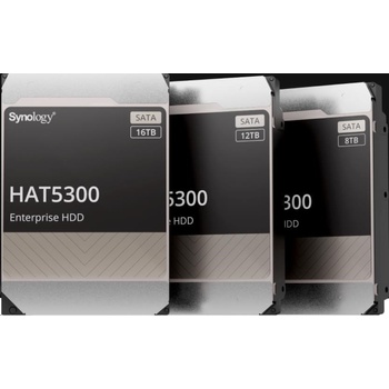 Synology HAT5300 4TB, HAT5300-4T