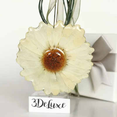 Meganflo Голяма бяла маргарита