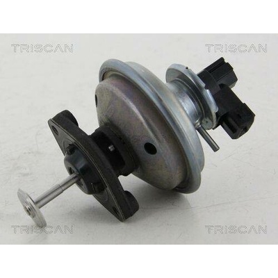 AGR-Ventil TRISCAN 8813 11002 (881311002)