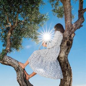 Eaves Wilder - Little Miss Sunshine (LP) (0656605050430)