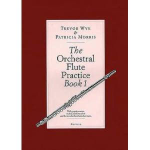 Orchestral Flute Practice Book 1 (ISBN: 9780853608066)