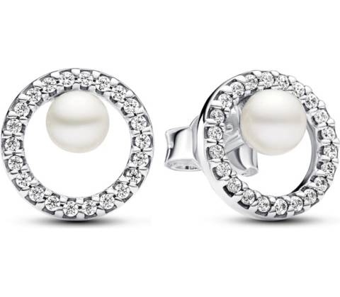 Pandora 293154C01