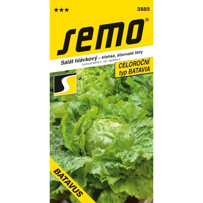 Semo Salát hlávkový - Batavus PROFI polní 0,6g