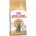 Royal Canin FBN British Shorthair 34 2 kg