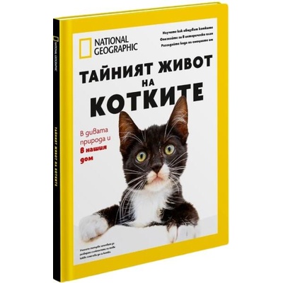 National Geographic: Тайният живот на котките