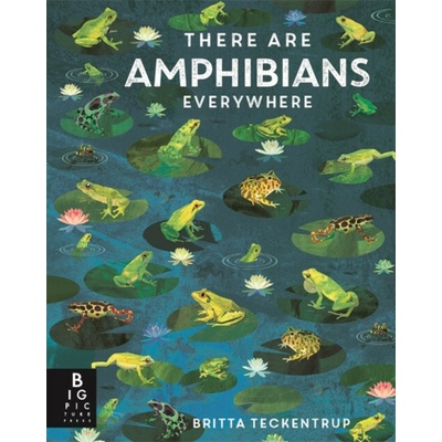 There Are Amphibians Everywhere - Camilla de la Bedoyere