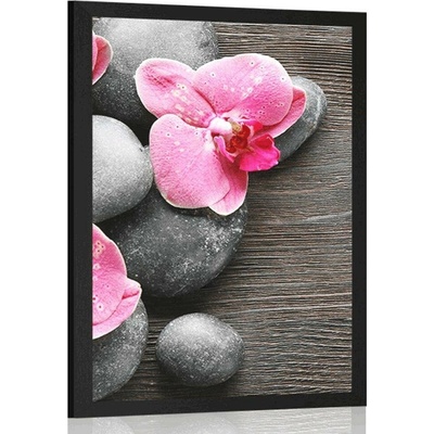 Plakát elegantní kompozice s květinami orchideje - 30x45 no frame