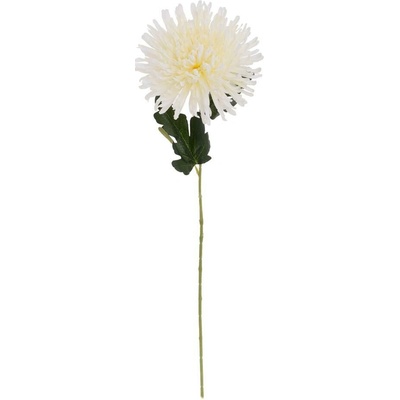KS CHRYZANTÉMA BIELA 60CM
