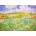 Enjoy - Puzzle Vincent Van Gogh: Plain near Auvers - 1 000 piese