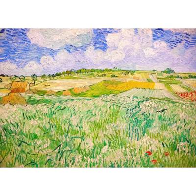 Enjoy - Puzzle Vincent Van Gogh: Plain near Auvers - 1 000 piese