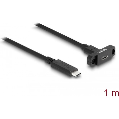 Delock SuperSpeed USB 10 Gbps (USB 3.2 Gen 2) USB Type-C кабел мъжки към женски 1 m с панелен конектор черен
