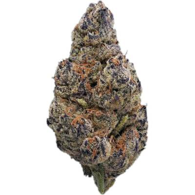 Highbreed Seeds Brick Banana Blocks Auto semena neobsahují THC 2 ks