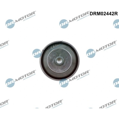 Ventil, ovládanie vzduchu (nasávaný vzduch) Dr.Motor Automotive DRM02442R