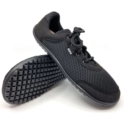 Beda black adult