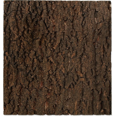 Repti Planet pozadí přírodní korek 43,5x41 cm – Zboží Dáma