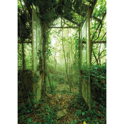 Komar Vliesová fototapeta Greenhouse rozměry 200 x 280 cm