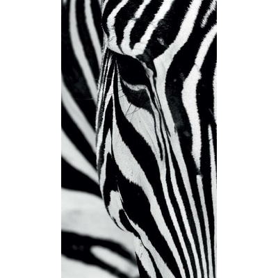 FOTOZÁVĚS ZEBRA (LIGHT)
