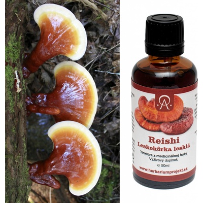 Herbarium Projekt REISHI vitalita a imunita tinktúra 50 ml