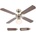 GLOBO 03804 Champion (GL5366)
