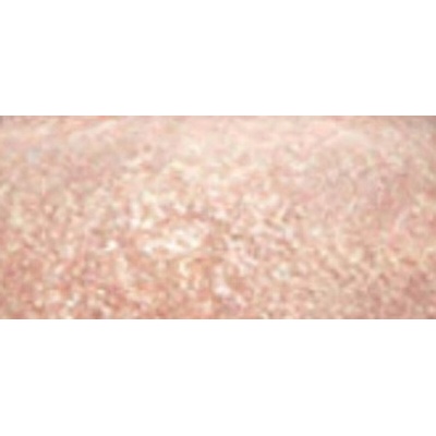 MAC Mineralize Skinfinish zapečený rozjasňujúci púder Soft & Gentle 10 g