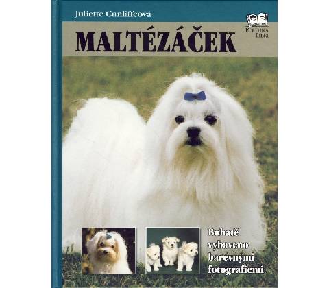 Maltézáček