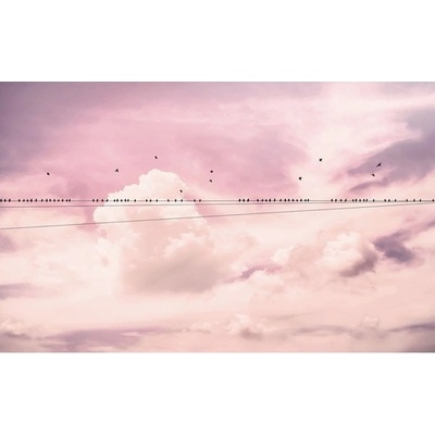 Komar Vliesová fototapeta Cloud Wire rozměry 400 x 250 cm