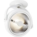 Rendl R12637