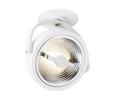 Rendl R12637