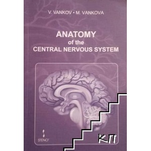 Anatomy of the Central Nervous System (ISBN: 9786192411428)