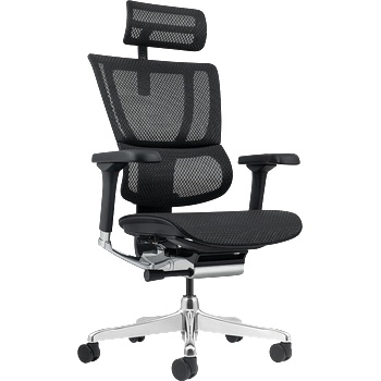 Image 1 of Ergohuman Ергономичен стол ergohuman elite 2 - черна рамка - черен (3520659)