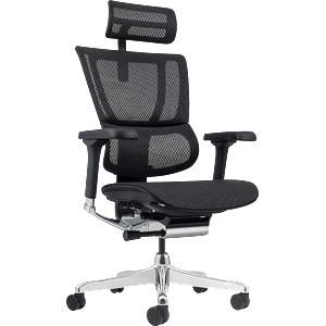 Ergohuman Ергономичен стол ergohuman elite 2 - черна рамка - черен (3520659) - tierradesign
