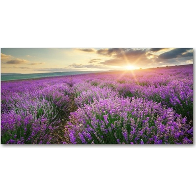 Foto obraz sklo tvrzené pole levanduľa 100x50 cm
