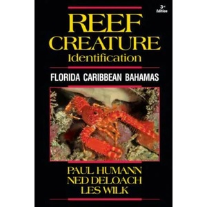 Reef Creature Identification | Paul Humann (2013)