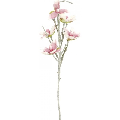 Větvička magnolie růžovobílá, 100 cm