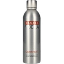 Danzka Vodka Grapefruit 40% l (holá láhev)