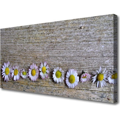 Obraz Canvas Sedmokráska rastlina príroda 100x50 cm