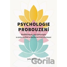 Psychologie probouzení - Welwood John