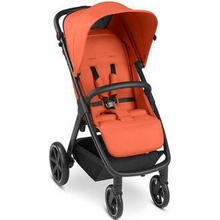 ABC DESIGN Avus carrot 2024