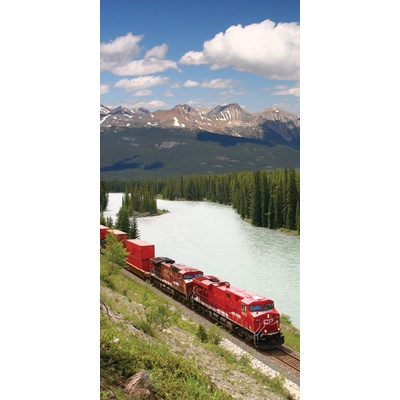 Dimex S-132 vliesová fototapeta na zeď Train rozměry 110 x 220 cm