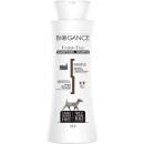 Biogance Protein Plus shampoo 250 ml