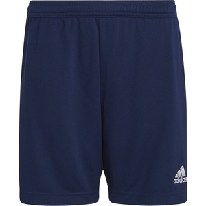adidas Ent22 tr shoy 116