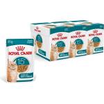 Royal Canin AGEING 15+ Gravy парченца в сос за стареещи котки над 15 години 36 x 85 г